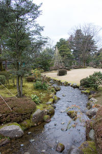 Trees by plants against sky