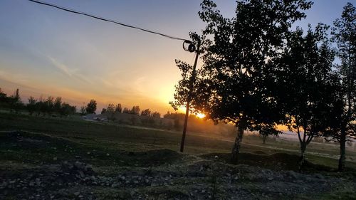 Silhouette trees on field against sky during sunset