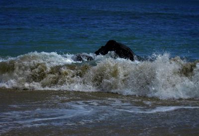 Scenic view of sea waves