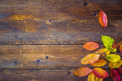 Directly above shot of leaves on wooden table