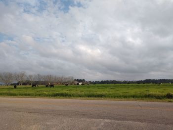 View of road passing through land