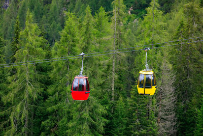 Overhead cable car in forest