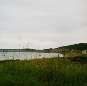 Scenic view of grassy field against sky