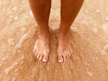 Low section of person standing on beach