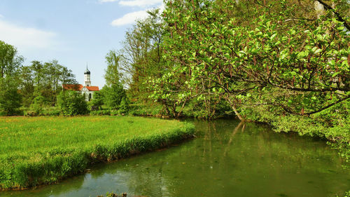 Scenic view of lake by trees against sky