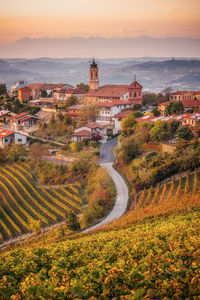 Treiso, langhe