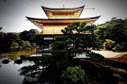 tree, water, built structure, building exterior, architecture, sky, palm tree, incidental people, travel destinations, outdoors, sunlight, nature, tranquility, famous place, clear sky, day, travel, tourism, river, religion