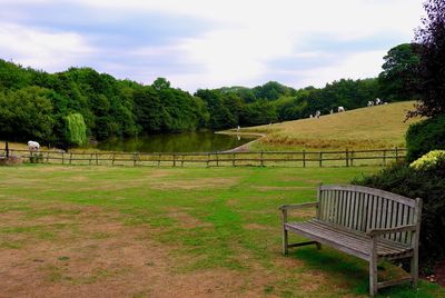 Empty bench by trees on landscape against sky