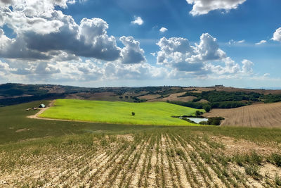 Scenic view of agricultural field against sky