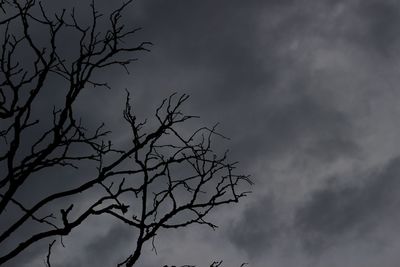 Low angle view of bare tree against sky
