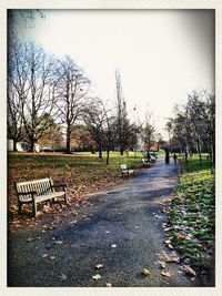 Empty road in park