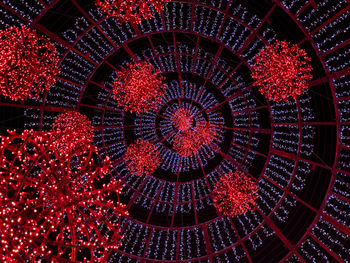 Low angle view of illuminated ferris wheel at night