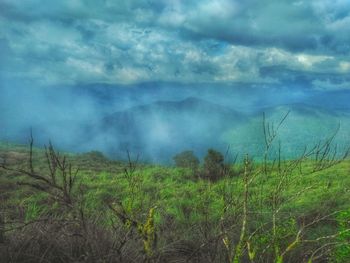 Scenic view of landscape against sky