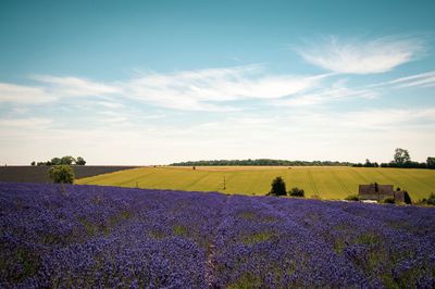 Scenic view of field against cloudy sky