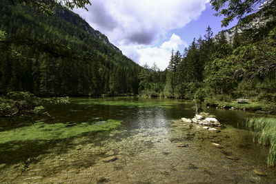 Scenic view of lake by trees against sky