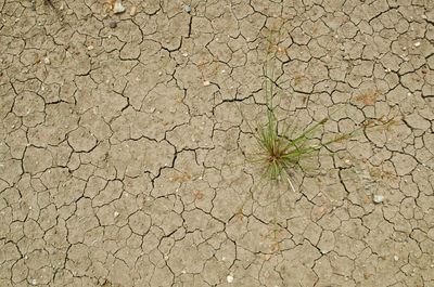 Full frame shot of cracked land