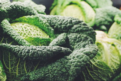 Close-up of savoy cabbage