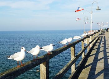 Seagulls on railing by sea against sky