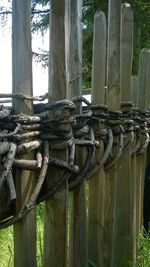 Close-up of wooden fence