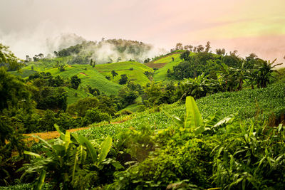 Scenic view of land against sky