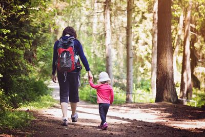 Rear view of friends walking in forest