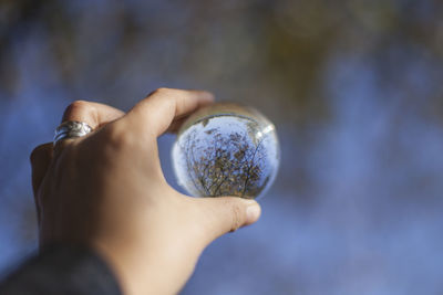 Midsection of person holding a lens ball