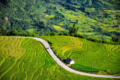 Aerial view of road amidst green landscape