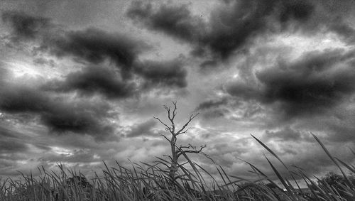 Low angle view of cloudy sky