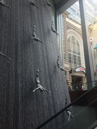 Low angle view of birds flying against building