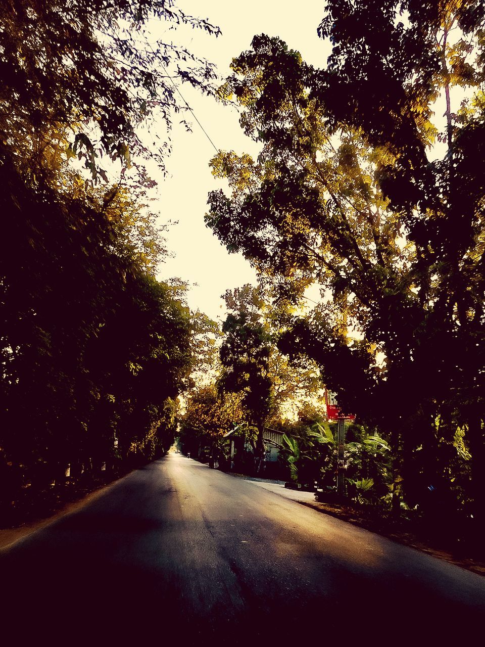 ROAD AMIDST TREES IN CITY AGAINST SKY