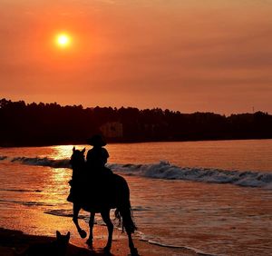 Silhouette man with dog on beach at sunset