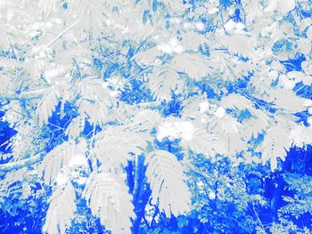 Full frame shot of snow covered landscape