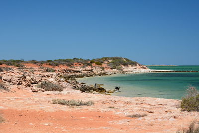 Scenic view of sea against clear blue sky