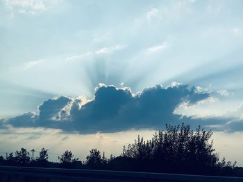 Low angle view of silhouette trees against sky