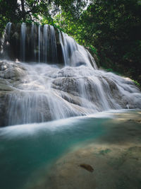 Scenic view of waterfall in forest