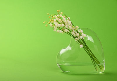 Flowers in heart shape glass against green background