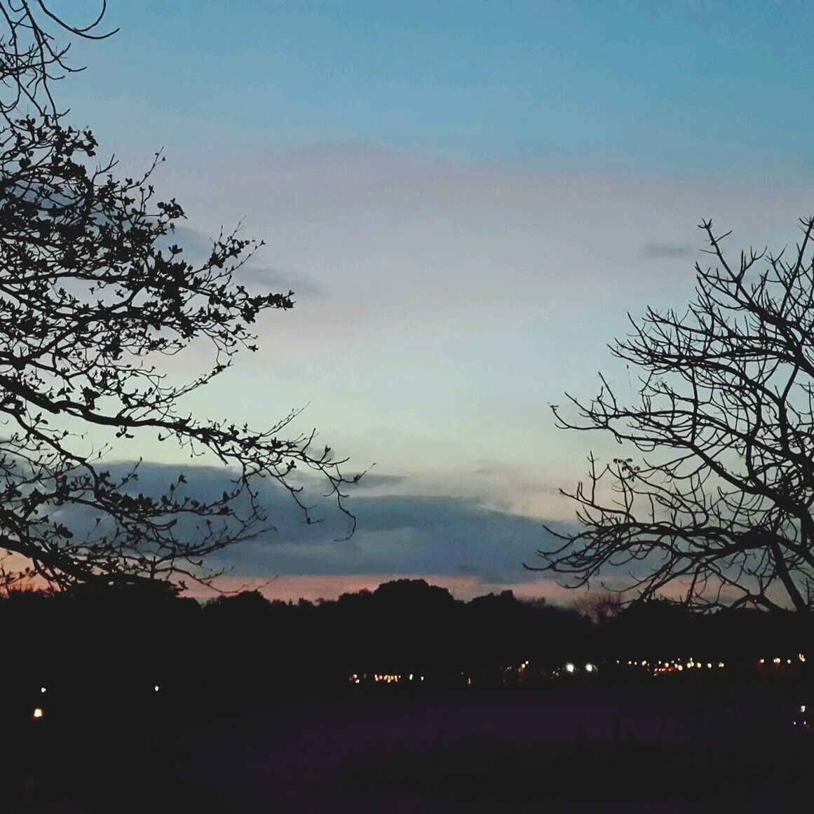 silhouette, tree, sky, scenics, tranquility, tranquil scene, beauty in nature, bare tree, nature, dusk, sunset, branch, landscape, idyllic, dark, outdoors, blue, cloud - sky, mountain, no people