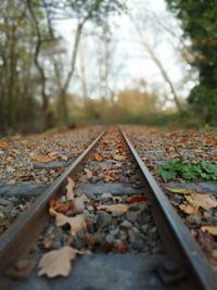 Autumn leaves on railroad track