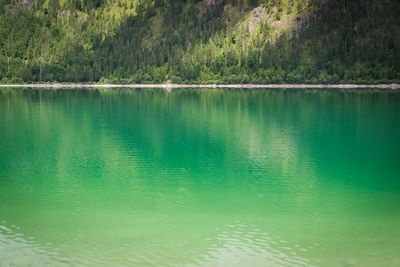 Scenic view of lake