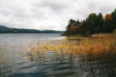 Scenic view of lake against sky during autumn