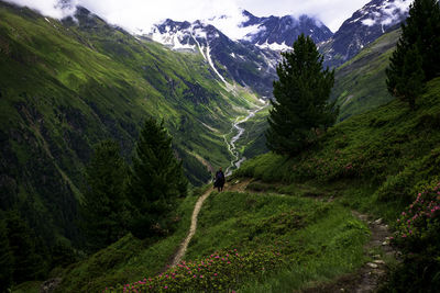 Scenic view of landscape and mountains