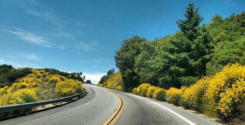 Empty country road by flowering plants against sky