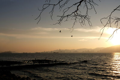 Silhouette birds flying over sea against sky during sunset