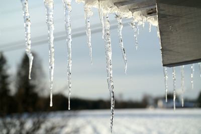 Close-up of icicles hanging against sky