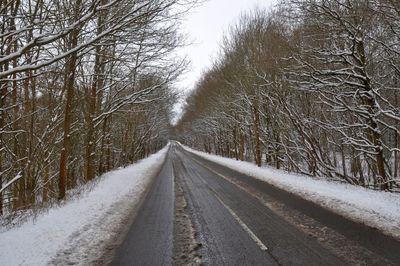 Road amidst bare trees during winter