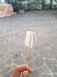 Close-up of hand holding ice cream