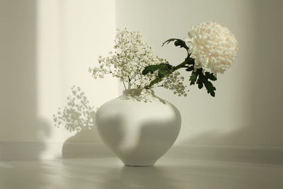 Beige chrysanthemums and gypsophila flower in white vase. still life. light and shadow background.