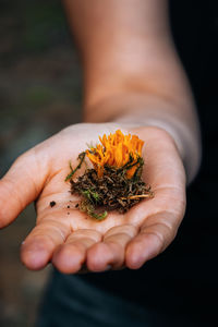 Close-up of hand holding flower