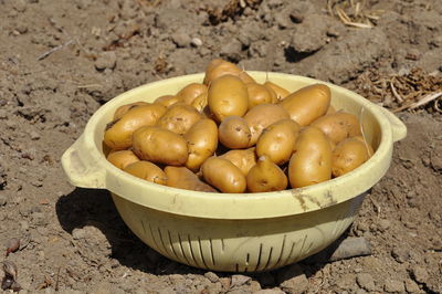 Close-up of raw potatoes in basket on mud