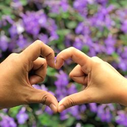 Close-up of hand holding purple flower